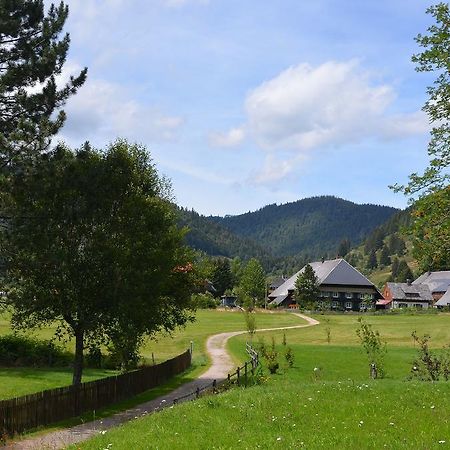 Ferienwohnungen Sternenthal เมนเซนชวานด์ ภายนอก รูปภาพ