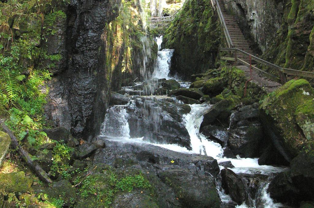 Ferienwohnungen Sternenthal เมนเซนชวานด์ ภายนอก รูปภาพ