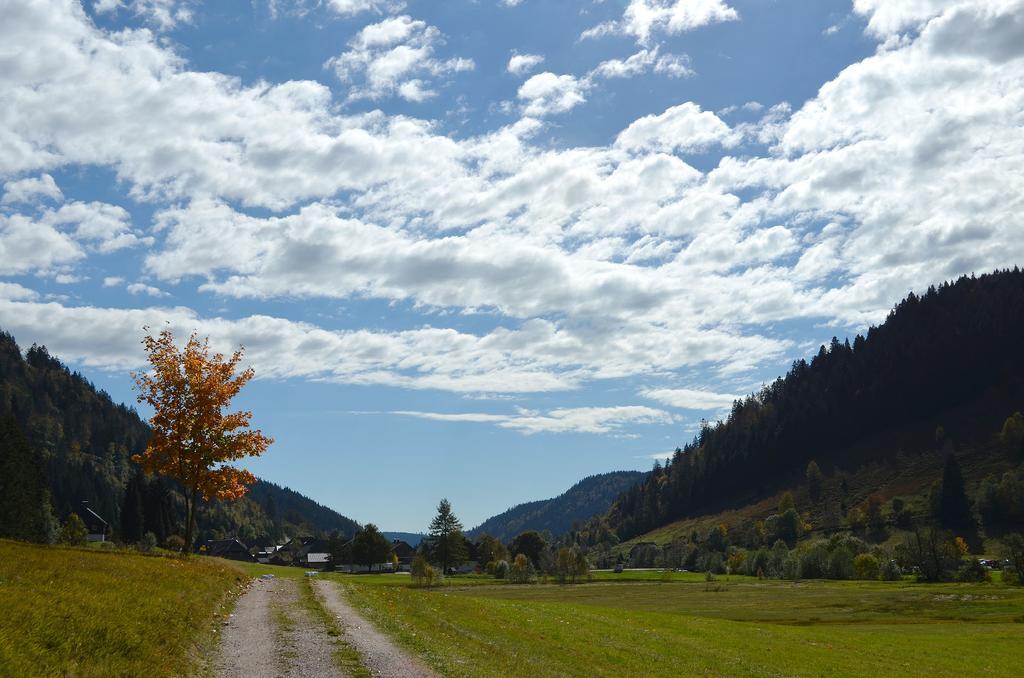 Ferienwohnungen Sternenthal เมนเซนชวานด์ ภายนอก รูปภาพ