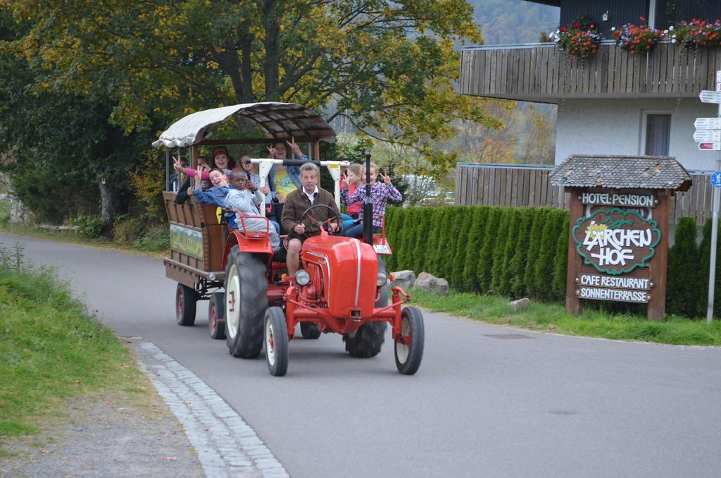 Ferienwohnungen Sternenthal เมนเซนชวานด์ ภายนอก รูปภาพ