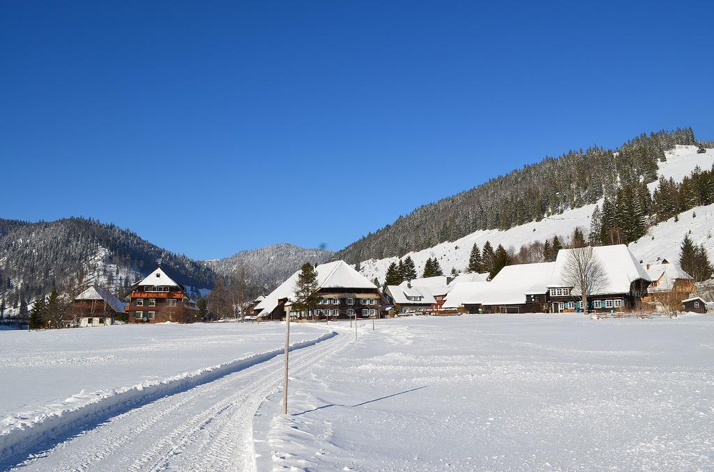 Ferienwohnungen Sternenthal เมนเซนชวานด์ ภายนอก รูปภาพ
