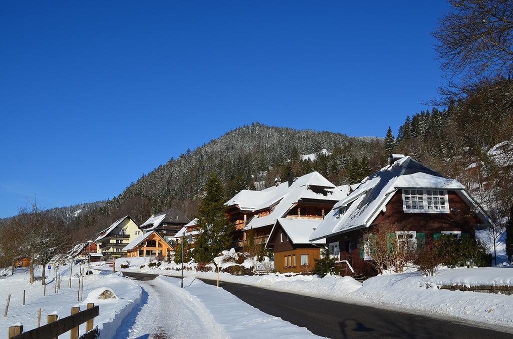 Ferienwohnungen Sternenthal เมนเซนชวานด์ ภายนอก รูปภาพ